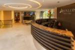 Avalon Alegria Gallery Image